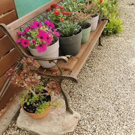 The Serenity * Anarita